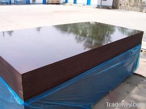 Hardwood Film faced plywood Commercial Plywood