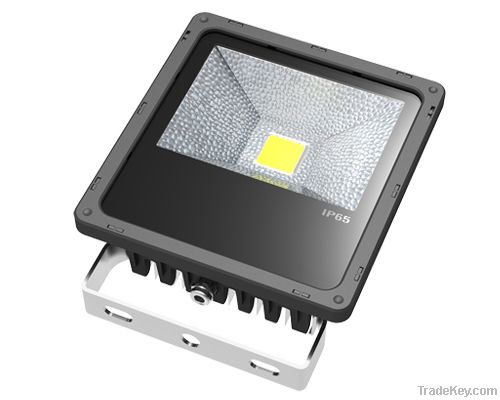 30W LED Flood light