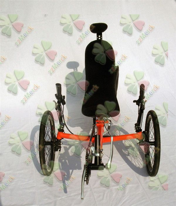 Recumbent bicyle/recumbent tadpole tricycle