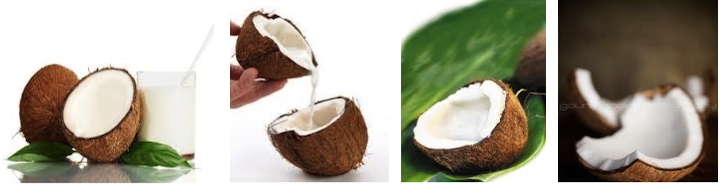 Coconut Milk