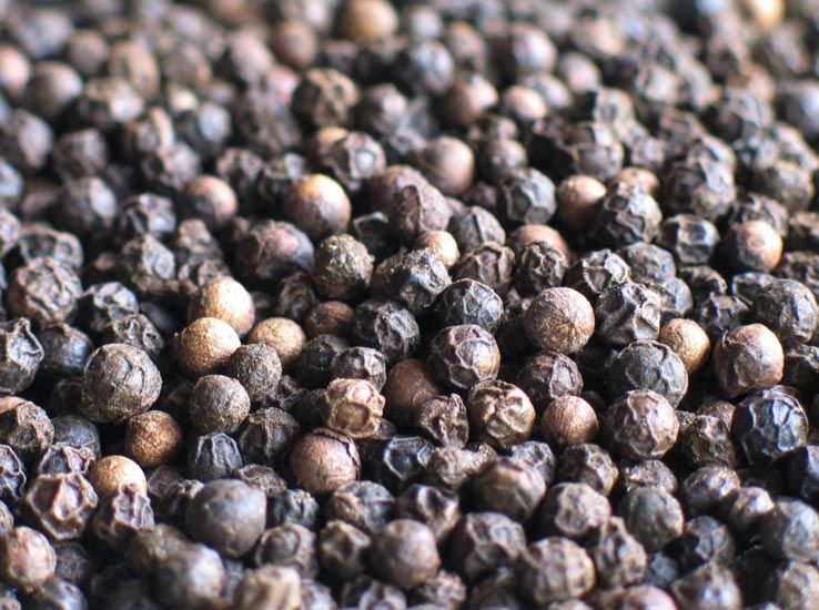 Black pepper MG1, 500 G/L, 550 G/L