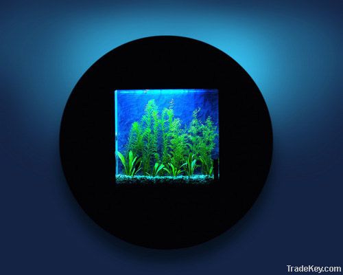 Wall Mounted Fish Tank. Round Shaped Aquarium Fish Tank.