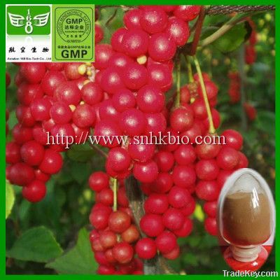 Schisandra extract Schisandrins