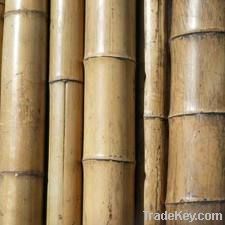 bamboo materials