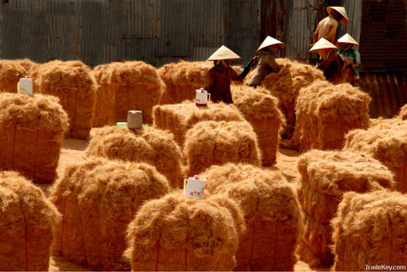 material coconut fiber in Vietnam