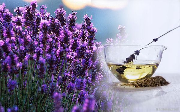 Lavender oil