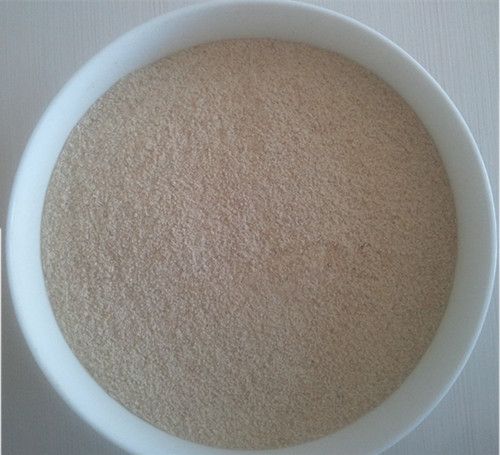 Soybean Meal