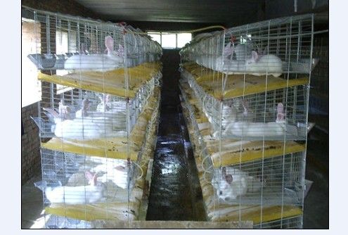 Commodity /Fattening Rabbit Cage