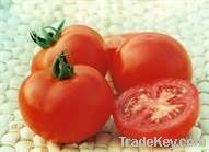 Tomato Extract, 5~98% Lycopene