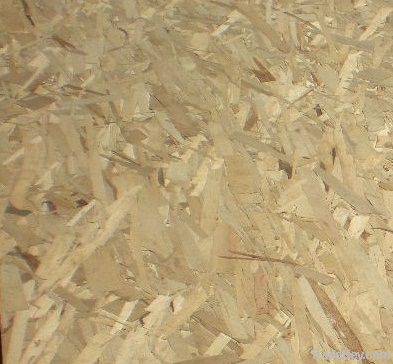 OSB2(ORIENTED STRAND BOARD)