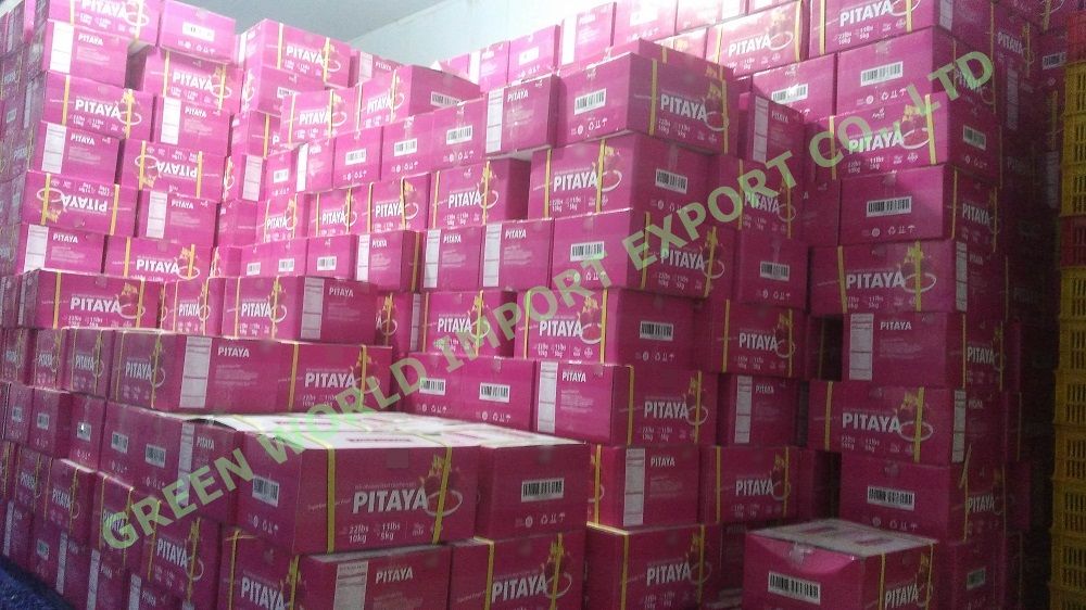 Frozen Dragon Fruit/ Pitaya from Vietnam with good quality and best price