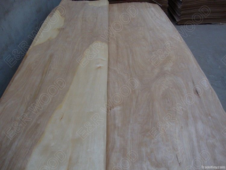 Rotary Birch Veneer