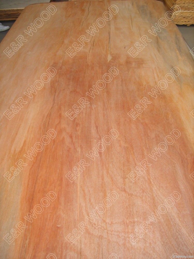 Rotary Cut Sapale veneer