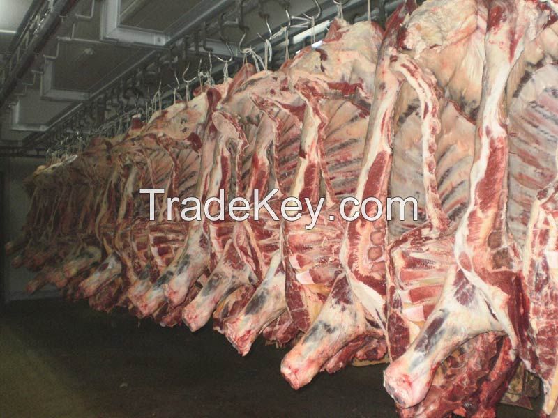 Halal Frozen Beef Meat