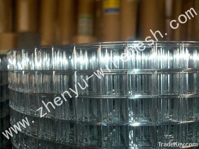 Electro Galvanized Welded Wire Mesh