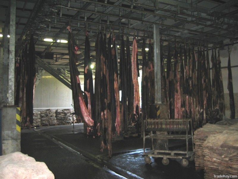 Salted Cow Hides, Salted Goat Skin, Tanned Leather, Sheep Skin