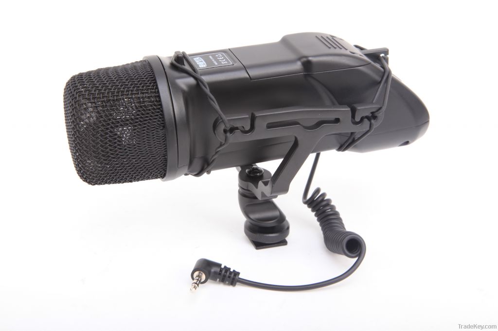 Stereo Video Microphone