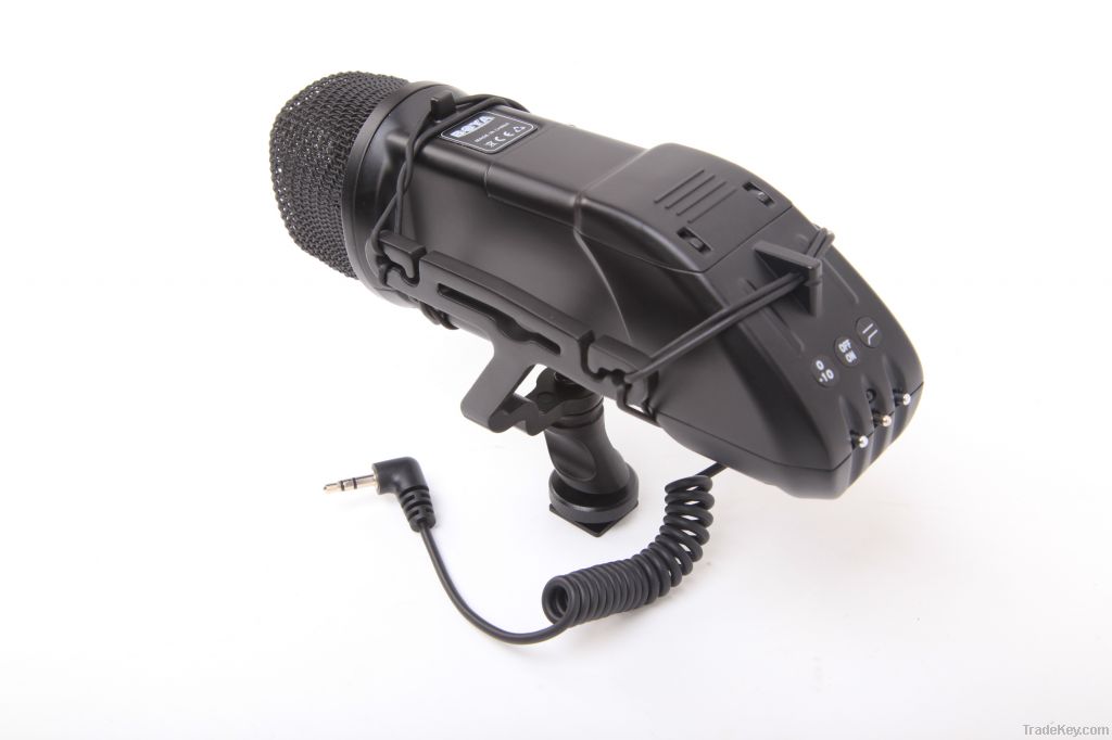 Stereo Video Microphone