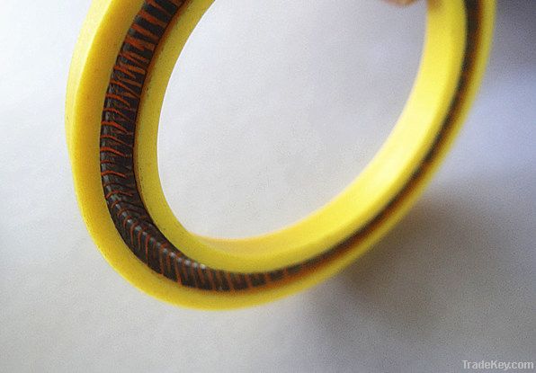 ptfe energized spring seals