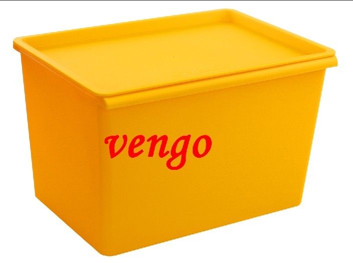 Plastic storage box with lid