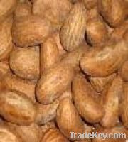 Kola Nuts