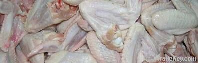 Halal Fresh and Frozen Chicken