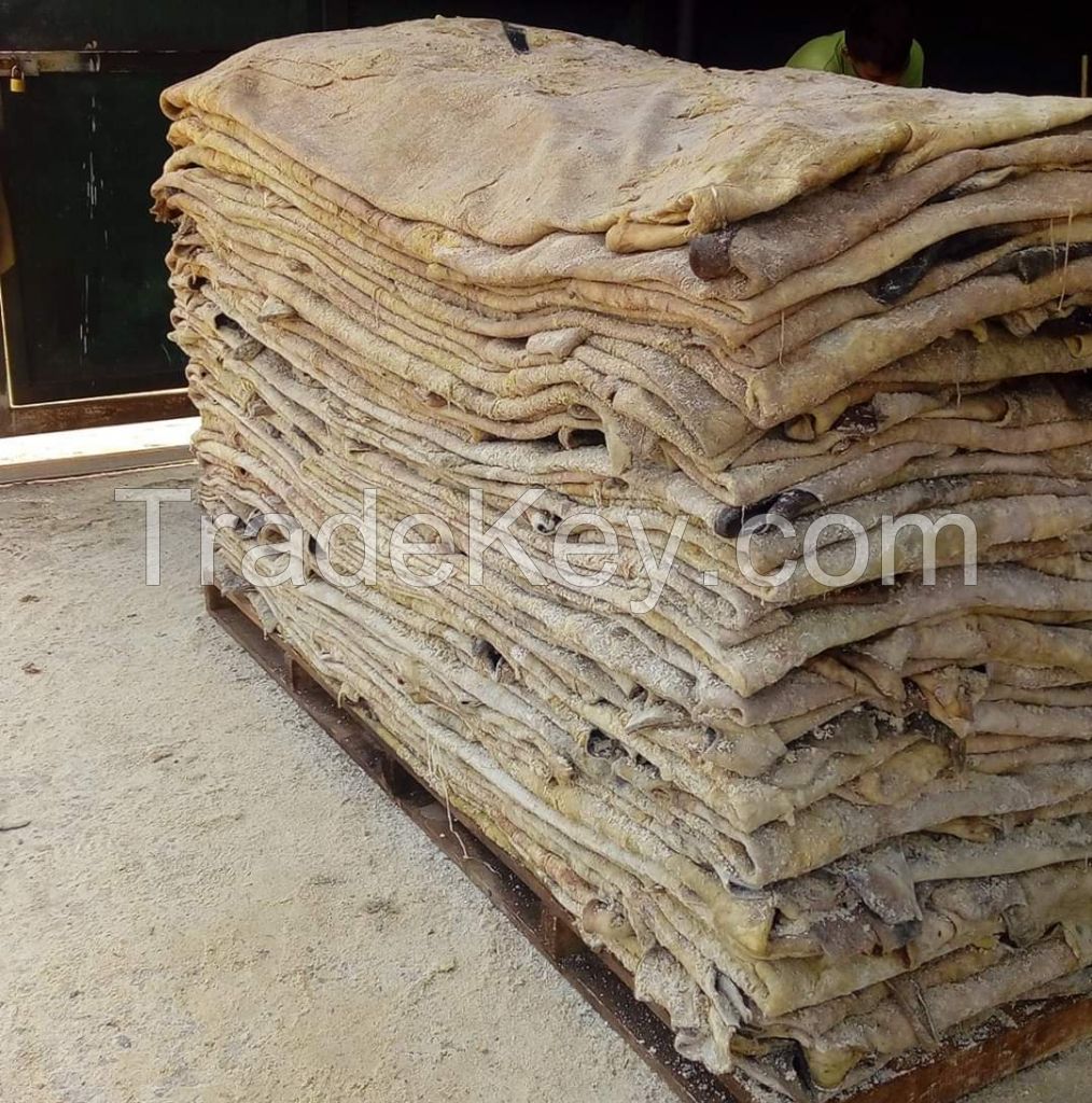 Donkey and wet salted cow hides available