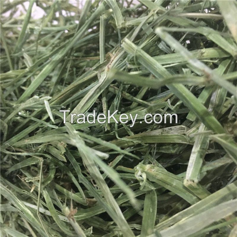 ALFALFA EXTRA QUALITY. 18% - 20% PROTEIN