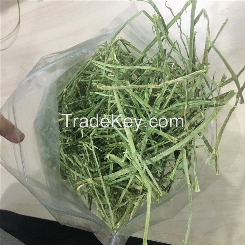 Alfafa Hay Animal Feeding Stuff Alfalfa, hay/alfalfa hay pellets Timothy Hay/ Alfalfa in Bales