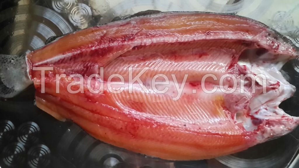 Fresh chilled/ Frozen Rainbow Trout, 100% organic