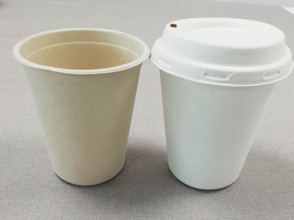 Biodegradable sugarcane pulp cup