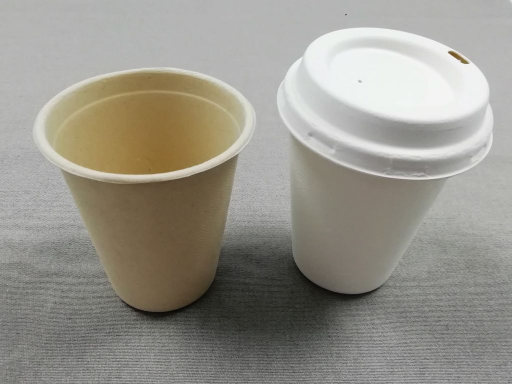 Biodegradable sugarcane pulp cup