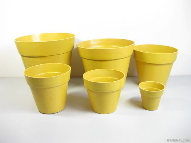 Biodegradable flower pots