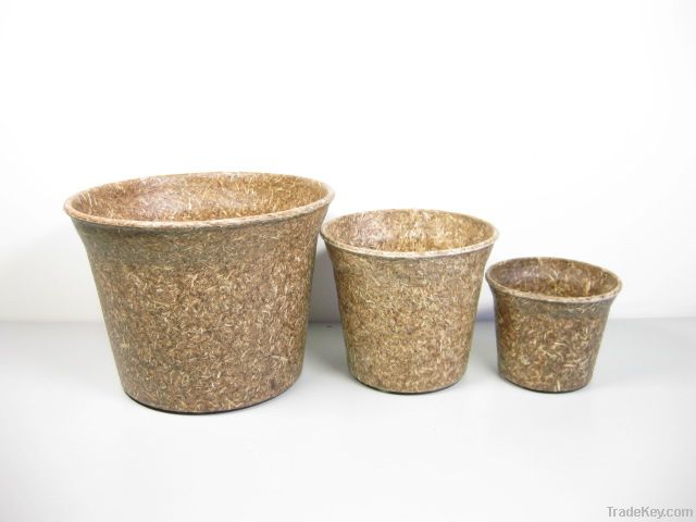 Bio-friendly seeding planters and pots