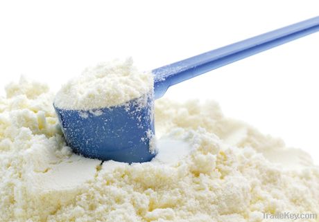 Skim Milk Powder