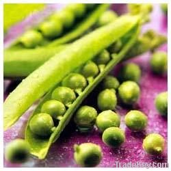 Frozen Green Peas