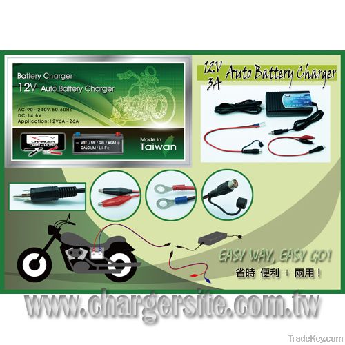 12V Auto Battery Charger