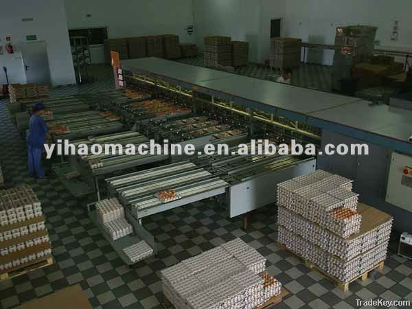 Egg tray machine