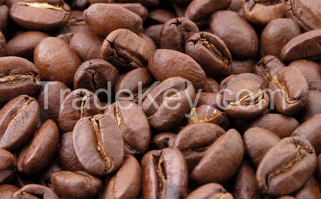 ROBUSTA COFFEE BEAN AT GOOD PRICE