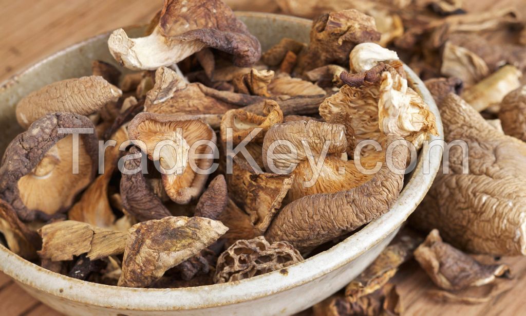 DRIED MUSHROOMS AT GOOD PRICE