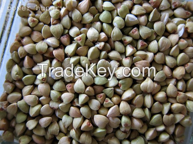 BUCKWHEAT AT GOOD PRICE