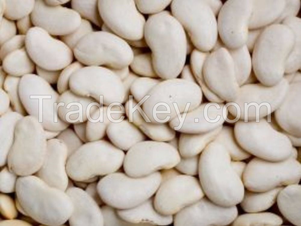 WHITE BUTTER BEANS