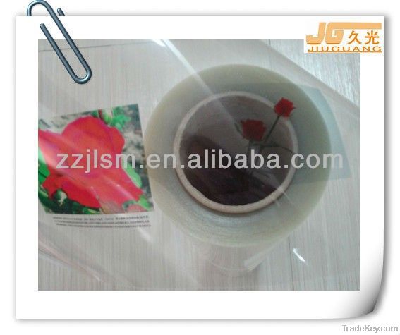 115micron Screen Printing Eco-solvent Transparent Film