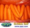 Chinese fresh carrot