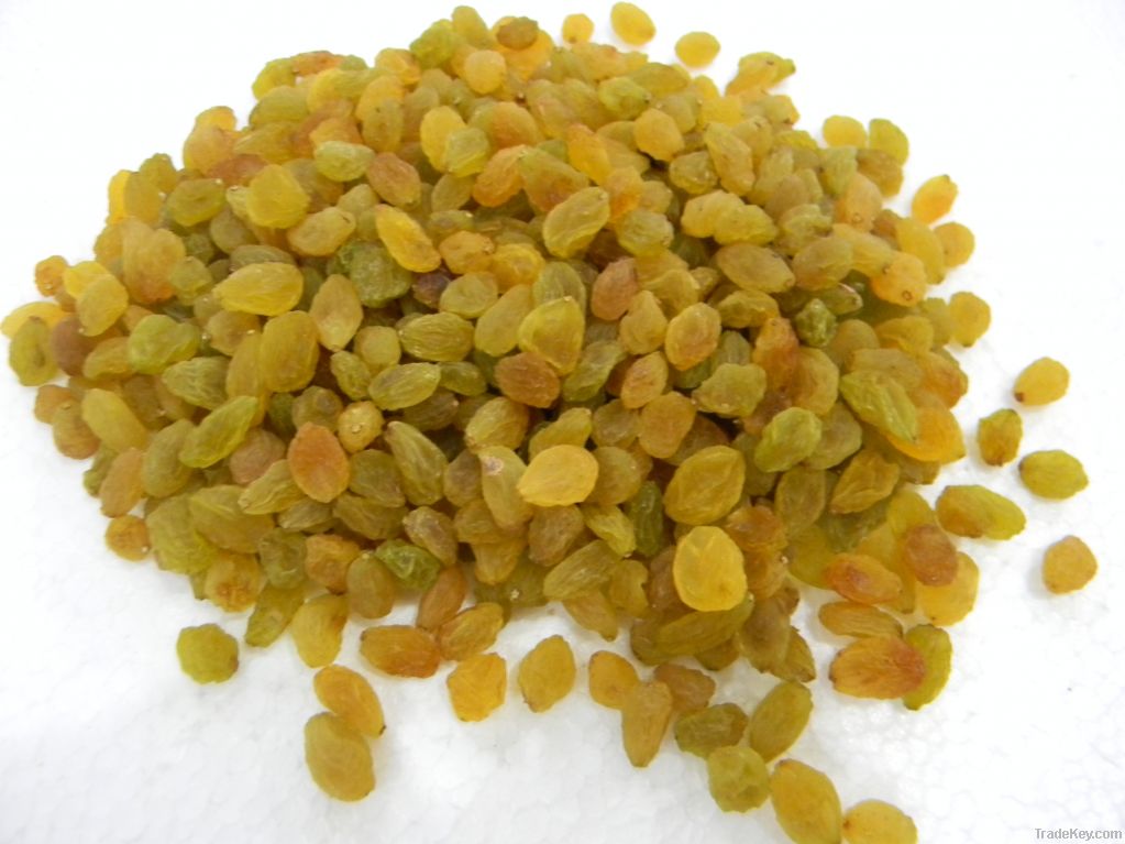 Golden Raisins