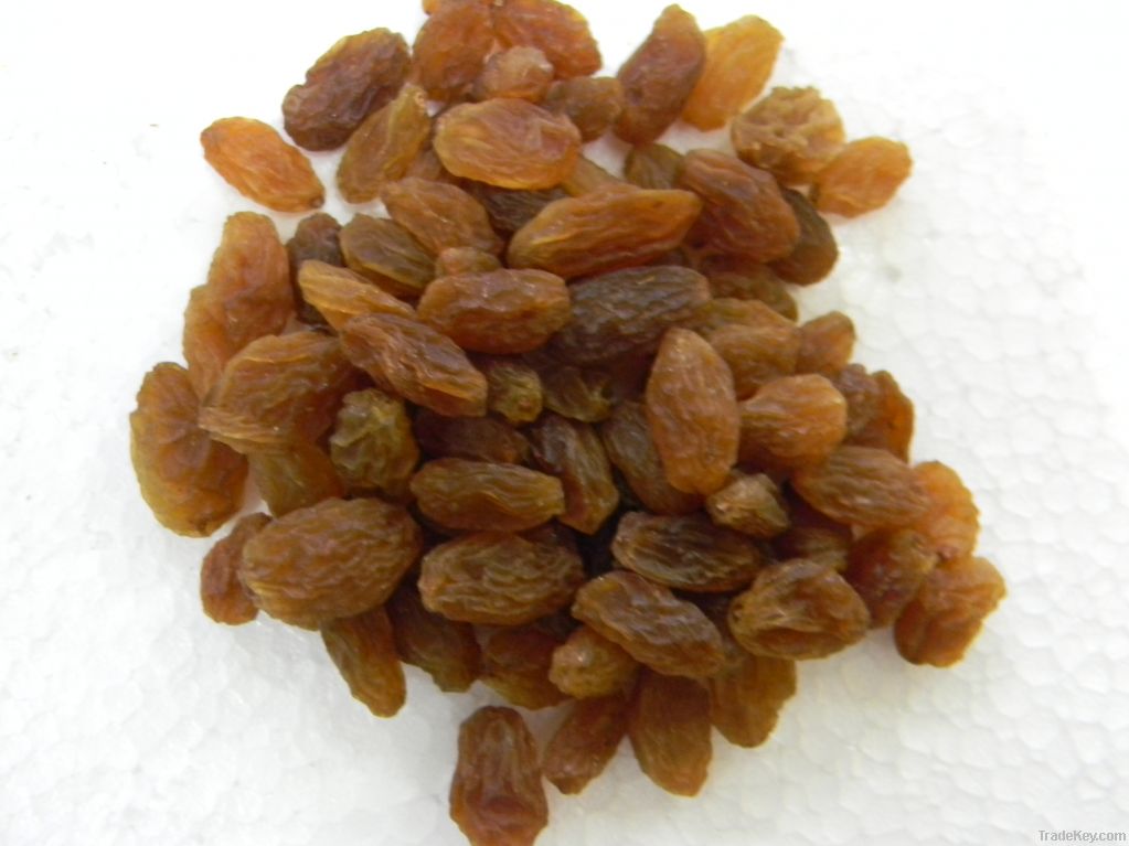 Brown Raisins