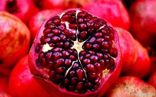 Egyptian pomegranate