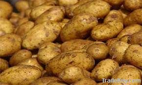 Egyptian potatoes