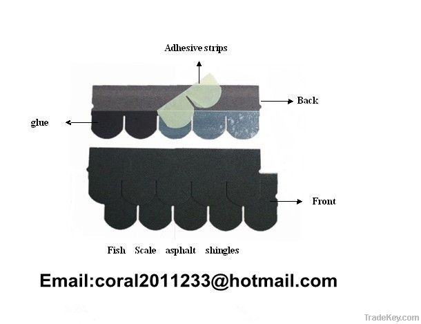 fish scale roof shingle