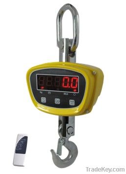 portable crane scale, hook scale, hanging scale